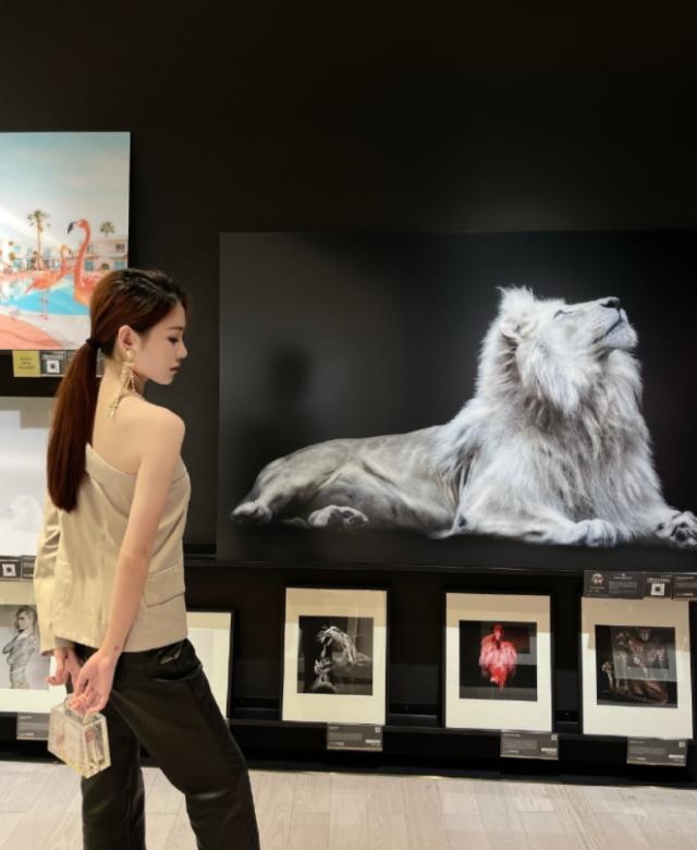 【早报】什么是齐式玄宗？韦尔纳来带你研究！